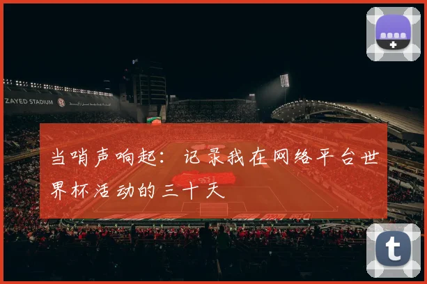 当哨声响起：记录我在网络平台世界杯活动的三十天