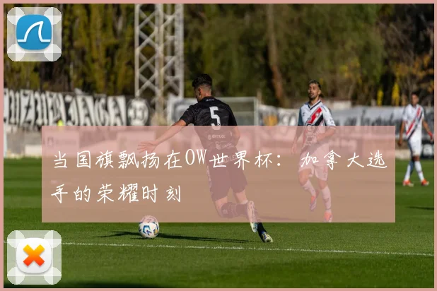 当国旗飘扬在OW世界杯：加拿大选手的荣耀时刻